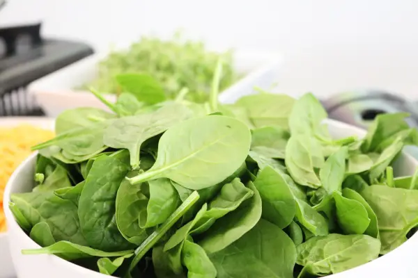 spinach recipes leaf